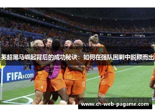 英超黑马崛起背后的成功秘诀：如何在强队围剿中脱颖而出